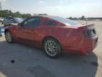 2013 Ford Mustang  للبيع في Lebanon، TN - Front End