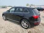 2016 Audi Q5 Premium Plus for Sale in Appleton, WI - Front End