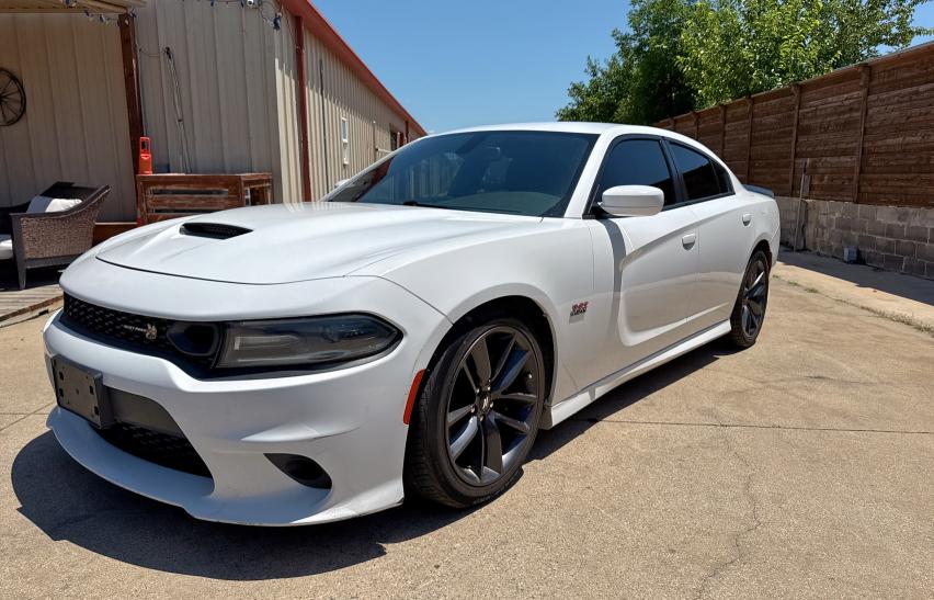  DODGE CHARGER 2019 Белый