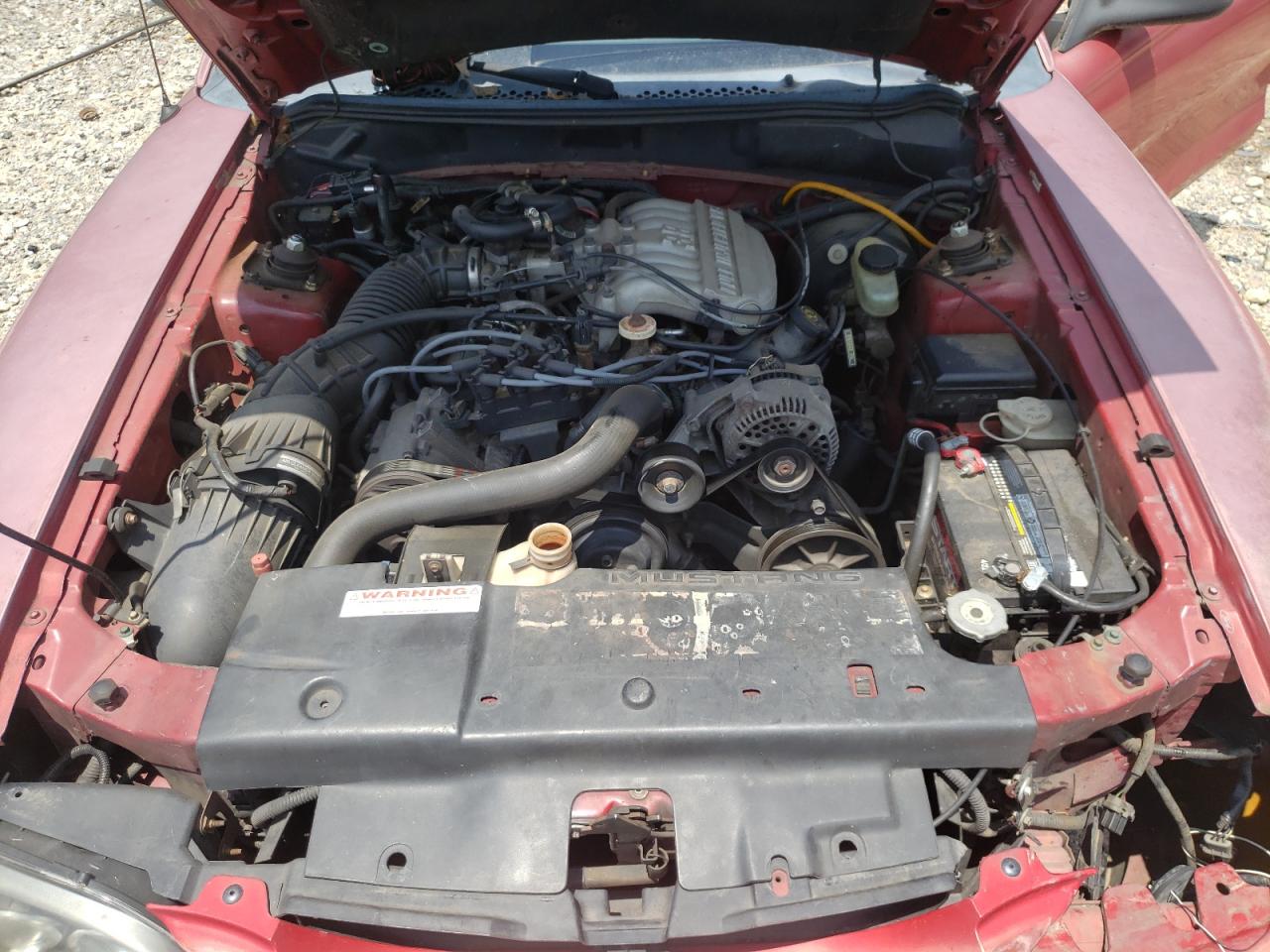 1995 Ford Mustang VIN: 1FALP4043SF123834 Lot: 62501205