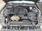 2016 FORD MUSTANG    for sale at Copart ON - COOKSTOWN