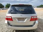 2007 Honda Odyssey Exl للبيع في Tanner، AL - Hail