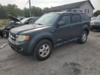 2008 Ford Escape Xlt en Venta en York Haven, PA - Minor Dent/Scratches
