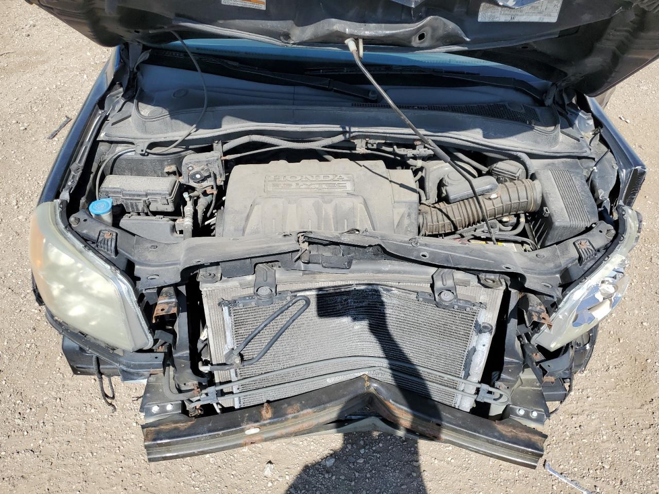 2007 Honda Pilot Exl VIN: 5FNYF28547B001998 Lot: 61931735
