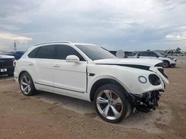 BENTLEY ALL MODELS 2019 White