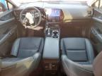 2024 Lexus Nx 250 Base   zu verkaufen in Houston, TX - Front End