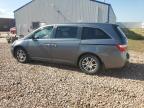 2013 Honda Odyssey Exl   zu verkaufen in Rapid City, SD - Front End