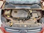 2014 Ford Escape Se for Sale in Amarillo, TX - Hail