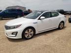 2014 Kia Optima Hybrid zu verkaufen in Amarillo, TX - Rear End