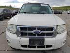 2010 Ford Escape Xlt for Sale in Littleton, CO - Hail