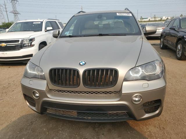 Parquets BMW X5 2012 Beige