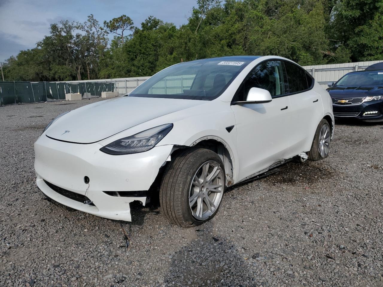 2020 Tesla Model Y  for Sale in Riverview, FL - Side