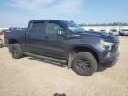 2022 CHEVROLET SILVERADO K1500 LT TRAIL BOSS   à vendre chez Copart AB - EDMONTON