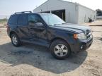2011 Ford Escape Xlt   for Sale in Cicero, IN - Side