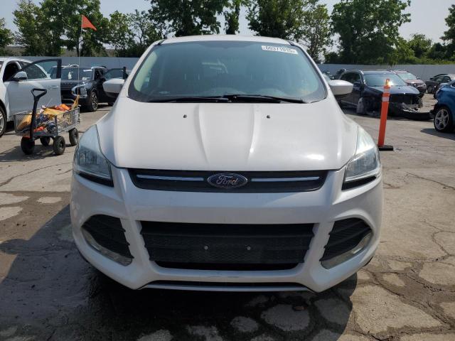 Паркетники FORD ESCAPE 2014 Белы