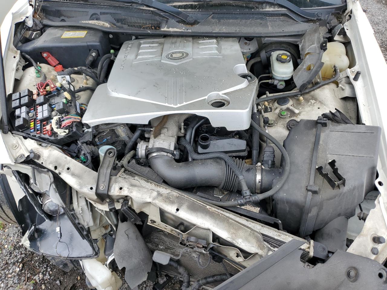 2006 Cadillac Sts VIN: 1G6DW677960214289 Lot: 59526455