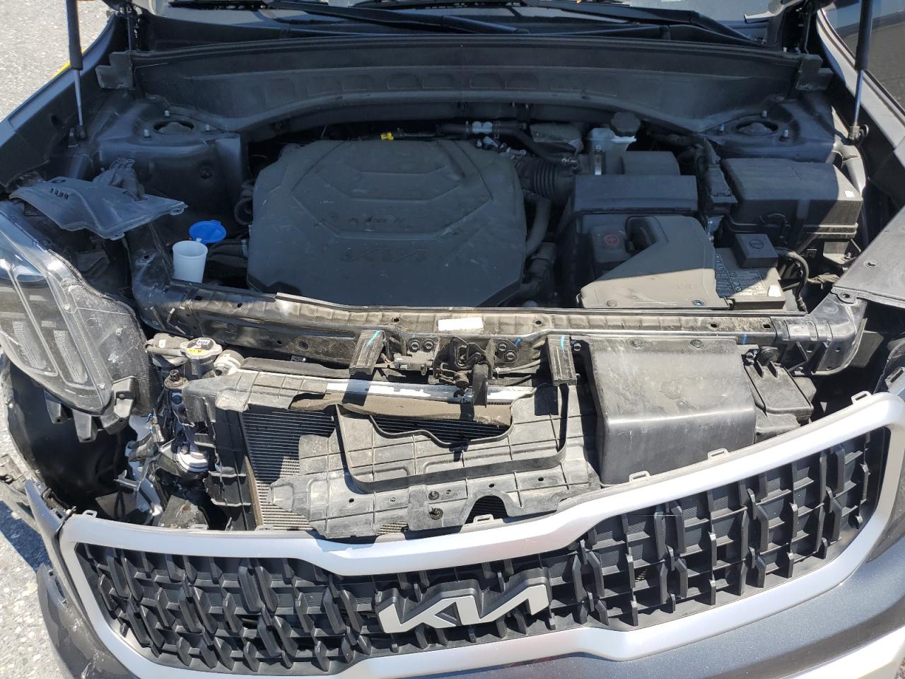 2024 Kia Telluride Ex VIN: 5XYP3DGC0RG483526 Lot: 62360355