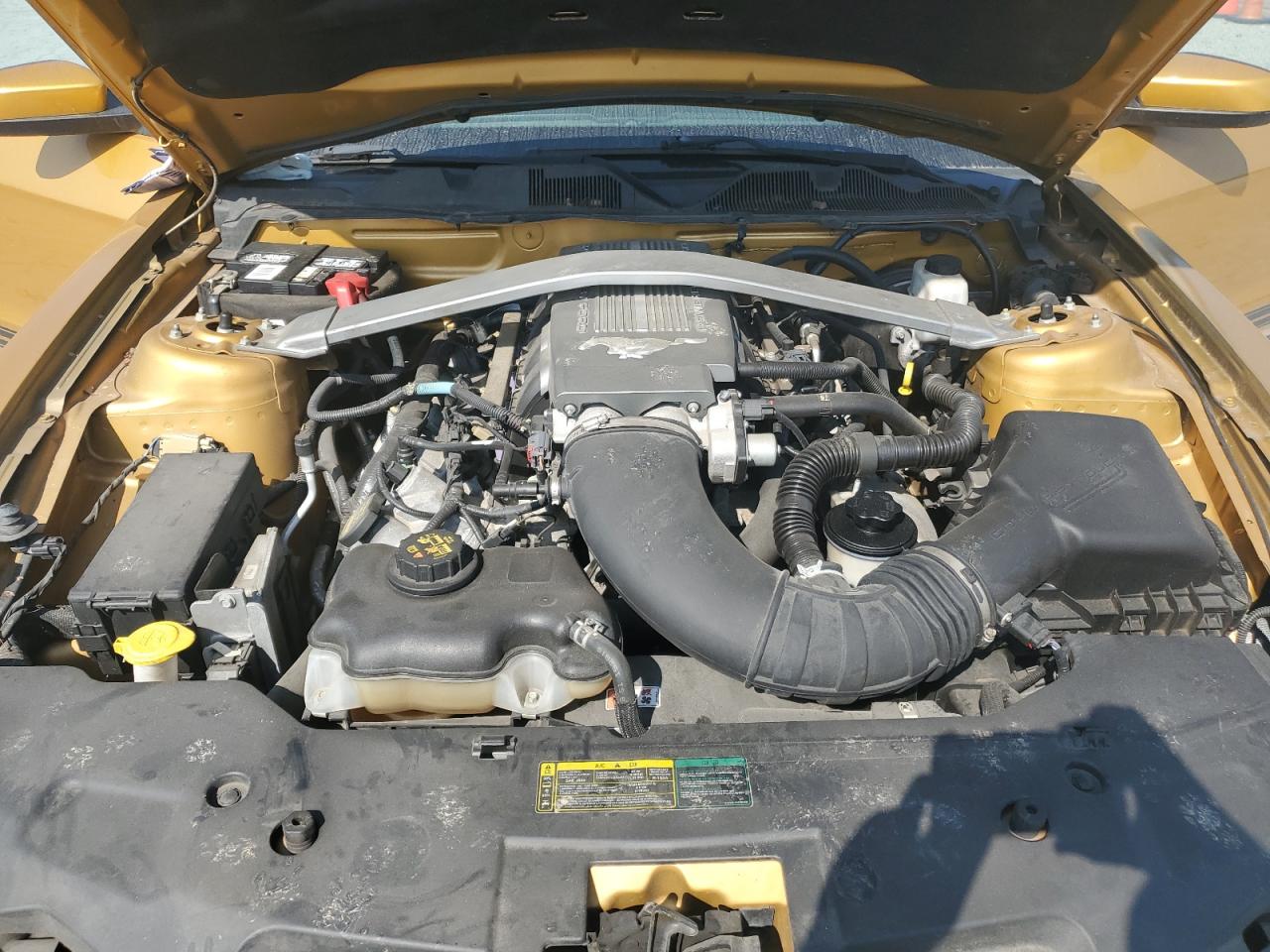 1999 Ford Mustang Gt VIN: 1ZVBP8FH8A5178997 Lot: 61794905