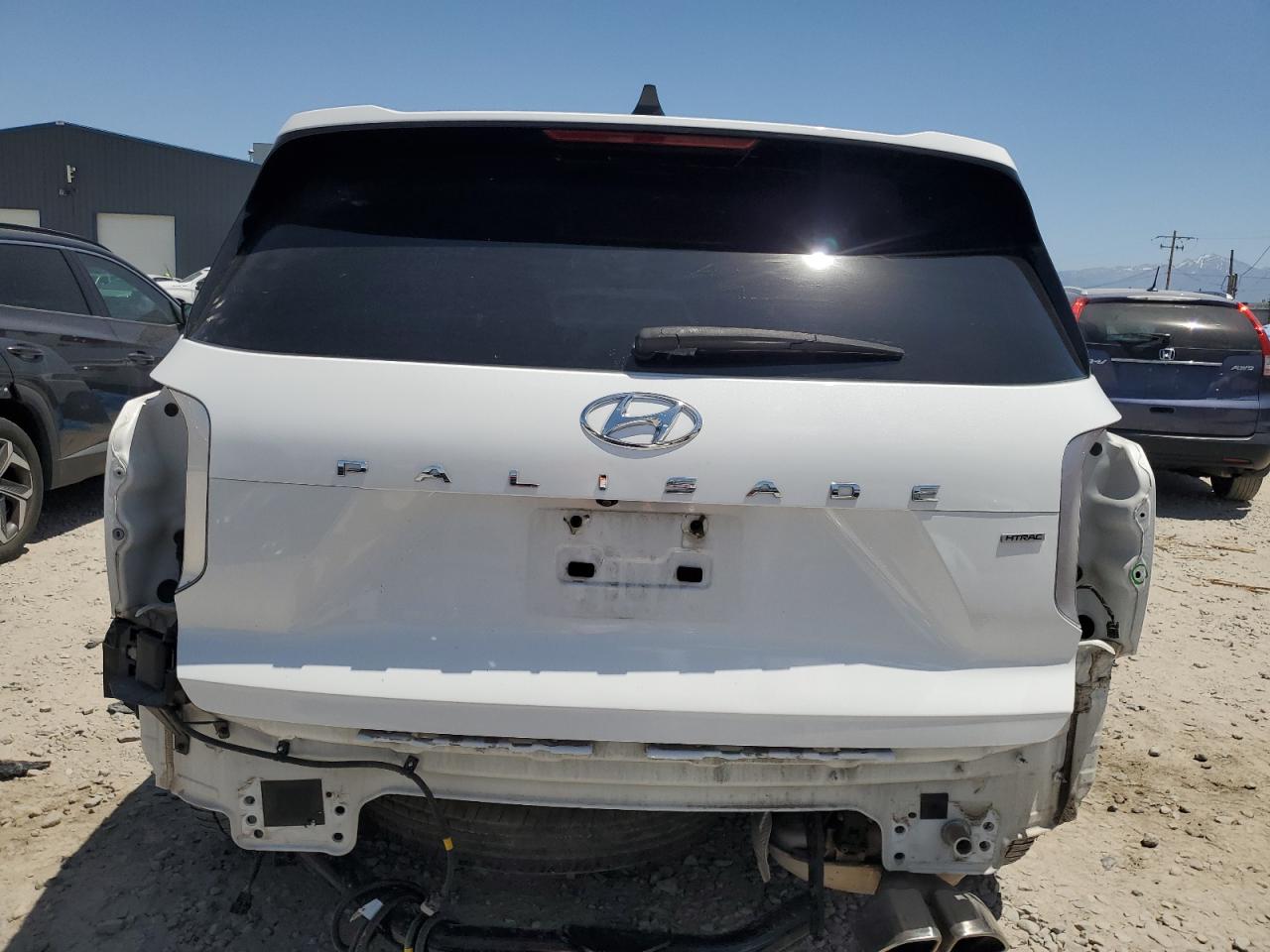 2020 Hyundai Palisade Limited VIN: KM8R5DHE7LU065713 Lot: 60891995