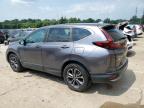 2020 Honda Cr-V Ex للبيع في Lawrenceburg، KY - Hail