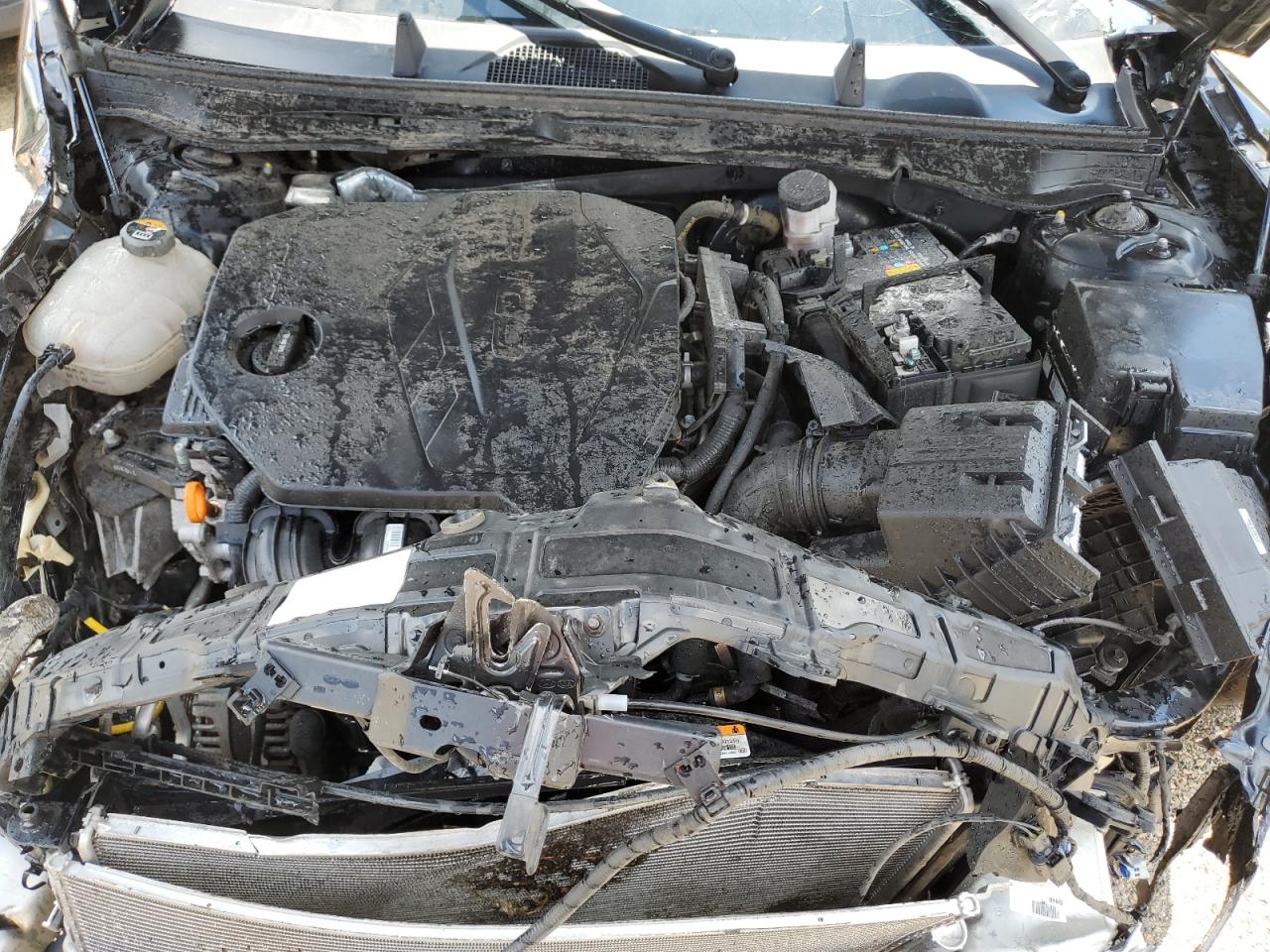 2021 Hyundai Sonata Sel VIN: KMHL64JA3MA143482 Lot: 56644745