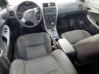 2009 Toyota Corolla Base for Sale in Apopka, FL - Front End