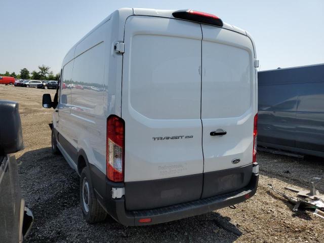  FORD TRANSIT 2023 Белы