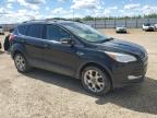 2013 FORD ESCAPE SEL   à vendre chez Copart AB - EDMONTON