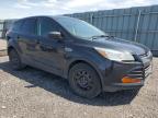 2014 FORD ESCAPE S   for sale at Copart ON - OTTAWA