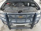 2012 Chevrolet Silverado K1500 Lt продається в Orlando, FL - Minor Dent/Scratches