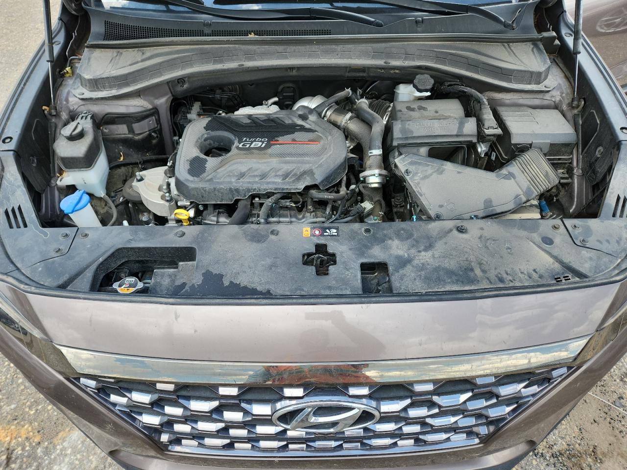 2020 Hyundai Santa Fe Limited VIN: 5NMS53AA9LH272215 Lot: 62528525