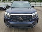 2025 Honda Passport Exl for Sale in Moraine, OH - Side