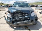 2011 Toyota Rav4 Limited за продажба в Littleton, CO - Front End
