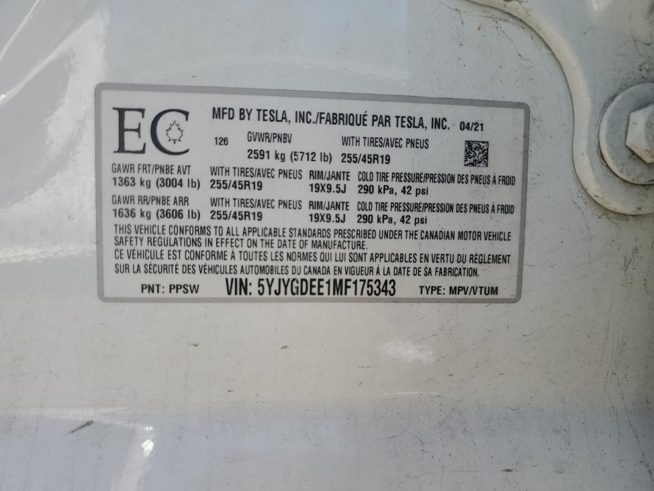 2021 Tesla Model Y VIN: 5YJYGDEE1MF175343 Lot: 62345625