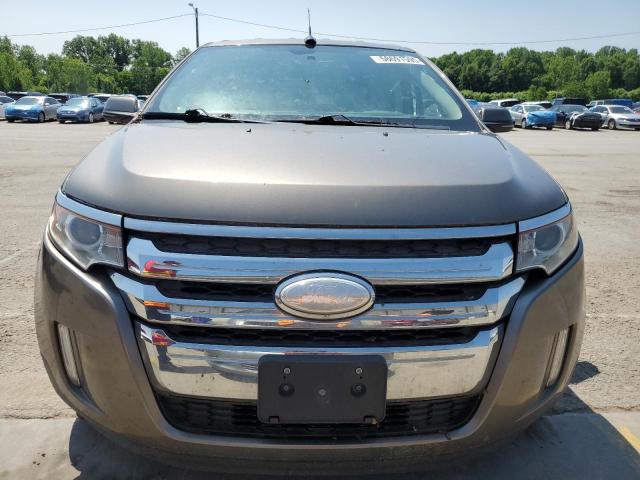 Паркетники FORD EDGE 2013 Бежевый