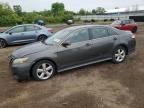 2010 Toyota Camry Base for Sale in Columbia Station, OH - Front End