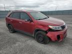 2015 KIA SORENTO LX   à vendre chez Copart ON - OTTAWA