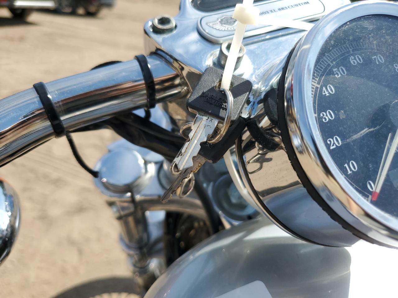 2003 Harley-Davidson Xl883 C Anniversary VIN: 1HD4CJM403K435409 Lot: 61188945