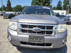 2008 Ford Escape Xlt for Sale in Graham, WA - Rear End