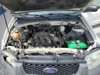 2005 Ford Escape Xlt   for Sale in Farr West, UT - Front End