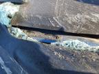 2003 Dodge Ram 1500 St zu verkaufen in Phoenix, AZ - All Over