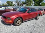 2005 Ford Mustang  for Sale in Riverview, FL - Rear End