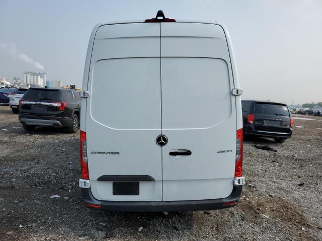  MERCEDES-BENZ SPRINTER 2023 Белы