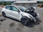 2023 Tesla Model 3    for Sale in Grantville, PA - All Over
