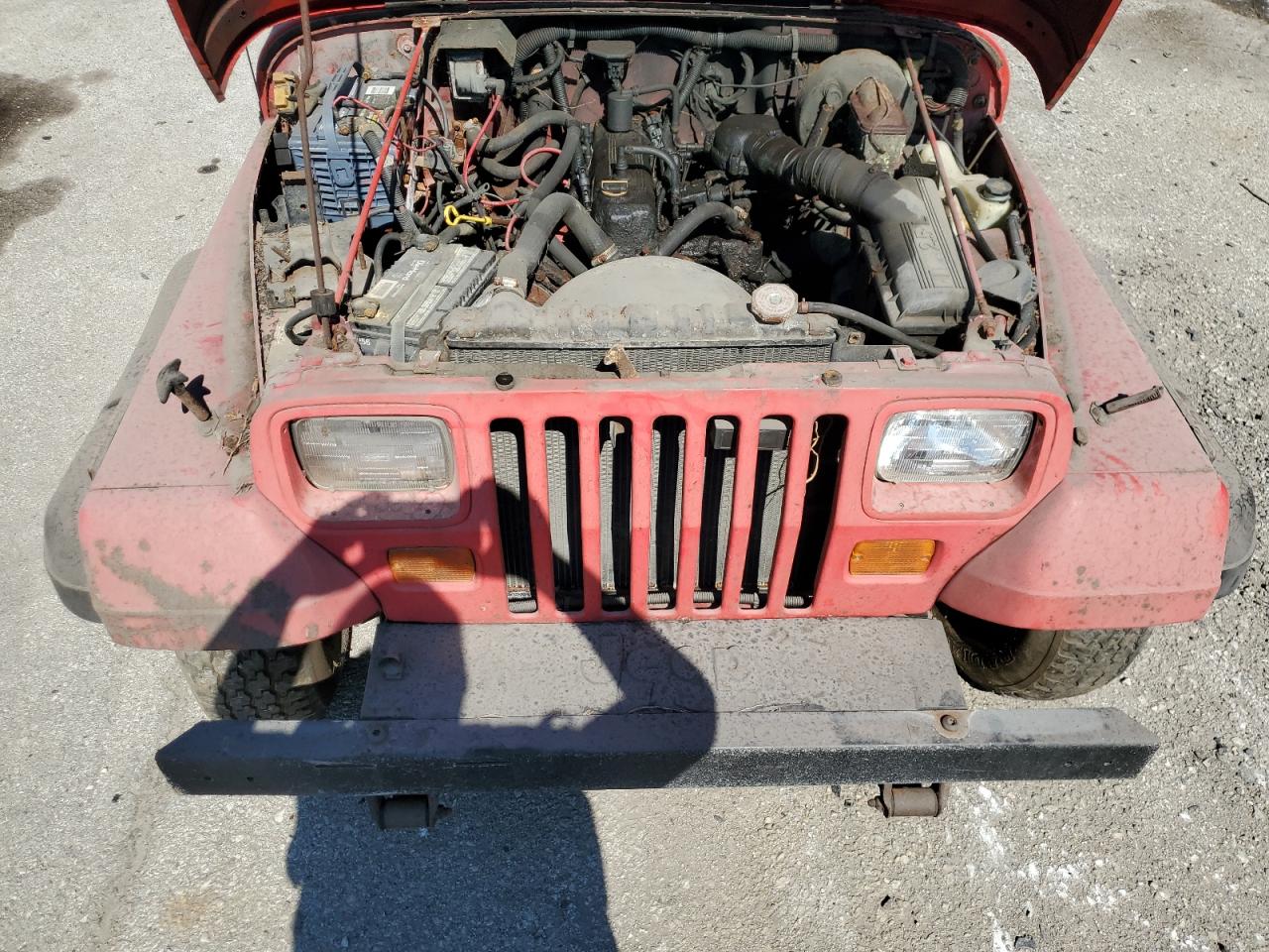1989 Jeep Wrangler / Yj VIN: 2J4FY29E5KJ135604 Lot: 61552705