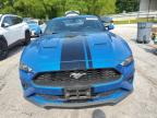 2019 Ford Mustang  na sprzedaż w Rogersville, MO - Hail