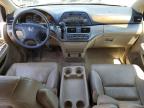 2006 Honda Odyssey Exl للبيع في San Martin، CA - Rear End