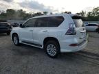 Spartanburg, SC에서 판매 중인 2020 Lexus Gx 460   - Normal Wear