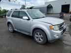 2010 FORD ESCAPE LIMITED   à vendre chez Copart QC - MONTREAL