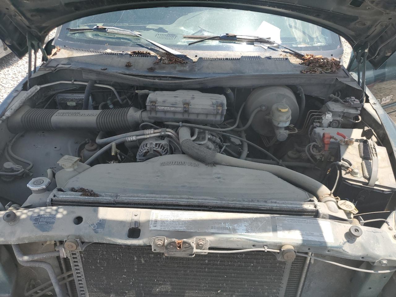 2000 Dodge Ram 1500 VIN: 1B7HF13Z5YJ168093 Lot: 62377615